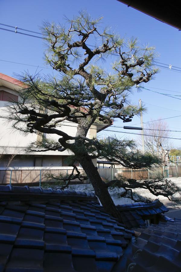 Matsuharu ANN Villa Kyoto Eksteriør billede